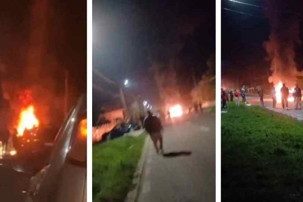 Un autoturism hibrid a fost distrus complet de flacari pe DJ 504 in zona Perii Brosteni Trei persoane au reusit sa se salveze in ultima clipa