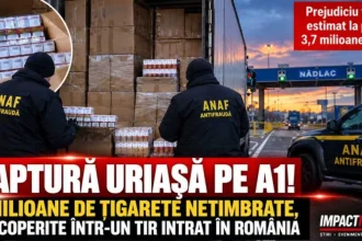 4 milioane de țigarete netimbrate, găsite într-un TIR la Nădlac
