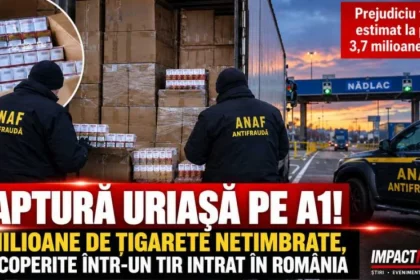 4 milioane de țigarete netimbrate, găsite într-un TIR la Nădlac